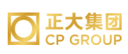 新安正大集团